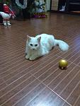     
: IMG_20200101_183904.jpg
: 105
:	94.3 
ID:	13281540