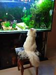     
: IMG_20200107_190051.jpg
: 105
:	76.3 
ID:	13281541