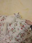     
: IMG_20200102_200324.jpg
: 95
:	62.5 
ID:	13281542