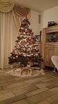     
: IMG-80bb7c3bb4af5e50dcf2ccd27a92fa84-V.jpg
: 39
:	70.3 
ID:	13281694