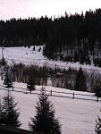     
: IMG_20200113_163619.jpg
: 45
:	98.9 
ID:	13282317