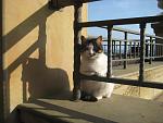     
: IMG_3465.jpg
: 15
:	108.1 
ID:	13282994