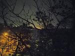     
: IMG_20200116_013124.jpg
: 127
:	152.8 
ID:	13283391