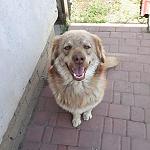     
: IMG_20200122_221949_572.jpg
: 17
:	59.2 
ID:	13286295