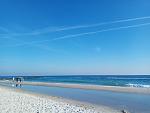     
: IMG_20200125_123959.jpg
: 25
:	91.3 
ID:	13287536