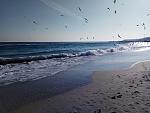     
: IMG_20200125_133229.jpg
: 25
:	133.3 
ID:	13287538
