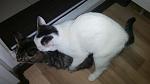     
: IMG_20200125_202506.jpg
: 6
:	56.2 
ID:	13288196