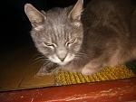     
: IMG_20200112_112328.jpg
: 11
:	98.0 
ID:	13288374