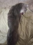     
: IMG_20200119_202059.jpg
: 11
:	49.5 
ID:	13288378