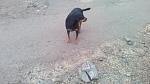     
: IMG_20200127_125401.jpg
: 29
:	115.8 
ID:	13288621