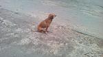     
: IMG_20200127_124732.jpg
: 26
:	112.7 
ID:	13288622