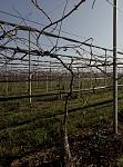     
: P91101-121227.jpg
: 228
:	146.6 
ID:	13289106