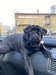     
: IMG_1122.jpg
: 7
:	95.2 
ID:	13290116