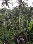     
: 7CB2BB2F-4539-417D-9D83-CE039684EB3E.jpg
: 43
:	112.5 
ID:	13290713