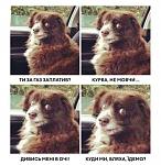     
: image.jpeg
: 15
:	112.6 
ID:	13295318