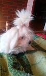    
: IMG_20200121_092040.jpg
: 59
:	59.1 
ID:	13295380