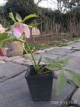     
: IMG_20200216_170817.jpg
: 18
:	116.4 
ID:	13300683