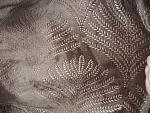     
: 20200222_130255.jpg
: 7
:	261.2 
ID:	13303840