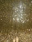     
: IMG_20200225_123342.jpg
: 13
:	231.4 
ID:	13306488