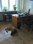     
: FB_IMG_15828115594760546.jpg
: 19
:	61.9 
ID:	13306738