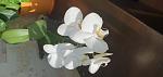     
: 20200208_155834.jpg
: 19
:	66.3 
ID:	13306834