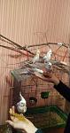     
: photo_2020-02-29_13-09-14.jpg
: 36
:	71.0 
ID:	13307505