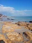     
: IMG_20200229_125229.jpg
: 15
:	114.3 
ID:	13307508