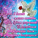     
: unnamed.jpg
: 13
:	140.3 
ID:	13308013