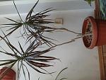     
: 20190331_145047.jpg
: 59
:	140.6 
ID:	13309616