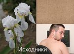     
: .jpg
: 84
:	180.1 
ID:	1330987