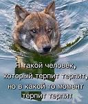     
: 63037DF2-641B-4116-817F-75E41A4A459D.jpeg
: 8
:	86.0 
ID:	13310727