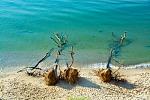     
: DSC_4925.jpg
: 27
:	216.8 
ID:	13311142