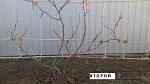     
: IMG_20200305_182847.jpg
: 17
:	190.9 
ID:	13311157