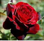     
: D0788930-0622-47EF-A639-35A02C22D823.jpeg
: 27
:	53.0 
ID:	13311467