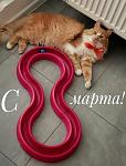     
: IMG_20200308_101946_577.jpg
: 19
:	92.0 
ID:	13312456