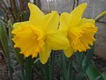     
: DSCN5952.jpg
: 7
:	78.1 
ID:	13313159