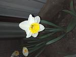     
: IMG_20200310_185040.jpg
: 6
:	73.0 
ID:	13313471