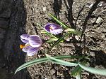     
: IMG_20200227_124442.jpg
: 7
:	244.7 
ID:	13313478