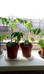     
: IMG_20200310_092802.jpg
: 22
:	70.2 
ID:	13313721