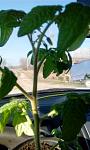     
: IMG_20200307_151104.jpg
: 28
:	70.2 
ID:	13313722
