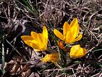     
: 20200307_110946.jpg
: 6
:	178.5 
ID:	13315063