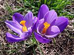     
: 20200307_111009.jpg
: 3
:	175.3 
ID:	13315064