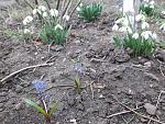     
: 20200307_110804.jpg
: 3
:	236.1 
ID:	13315066