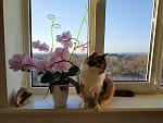     
: IMG_20200313_084926.jpg
: 8
:	121.7 
ID:	13315996