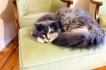     
: 1661047876055231.jpg
: 12
:	39.1 
ID:	13317111