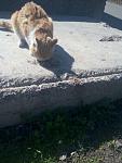     
: P00316-111657.jpg
: 25
:	113.9 
ID:	13318500