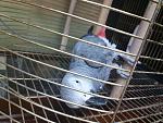     
: 20200314_142514.jpg
: 38
:	146.5 
ID:	13319858