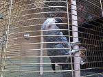     
: 20200314_142531.jpg
: 42
:	190.1 
ID:	13319859