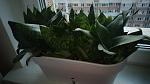     
: IMG-49781b16ef03495dddf16e7d2afd4517-V.jpg
: 20
:	81.7 
ID:	13319886