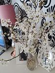     
: IMG_20200322_150127.jpg
: 18
:	120.6 
ID:	13320131